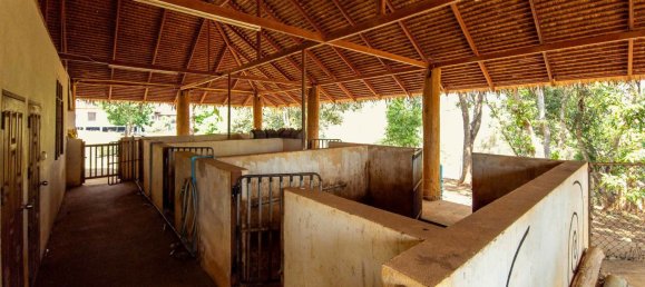  Land in Chiang Mai, Thailand No. 67407 16