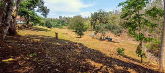  Land in Chiang Mai, Thailand No. 67407 11