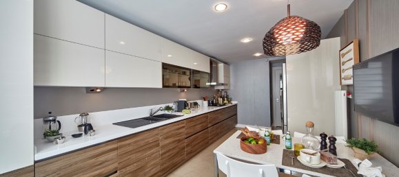 Villa 1+1 in Istanbul, Turkey No. 16552 2