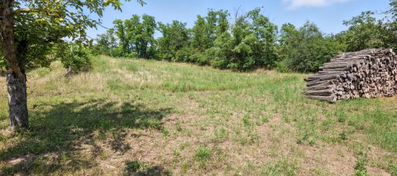  Land in Ebenthal, Austria No. 127453 3