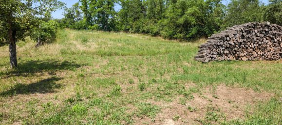  Land in Ebenthal, Austria No. 127453 4