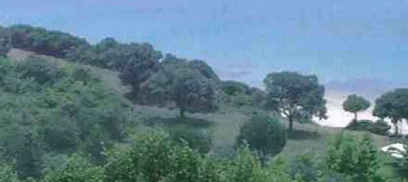 5080m² Hotel in Chalkidiki, Greece No. 8126 2