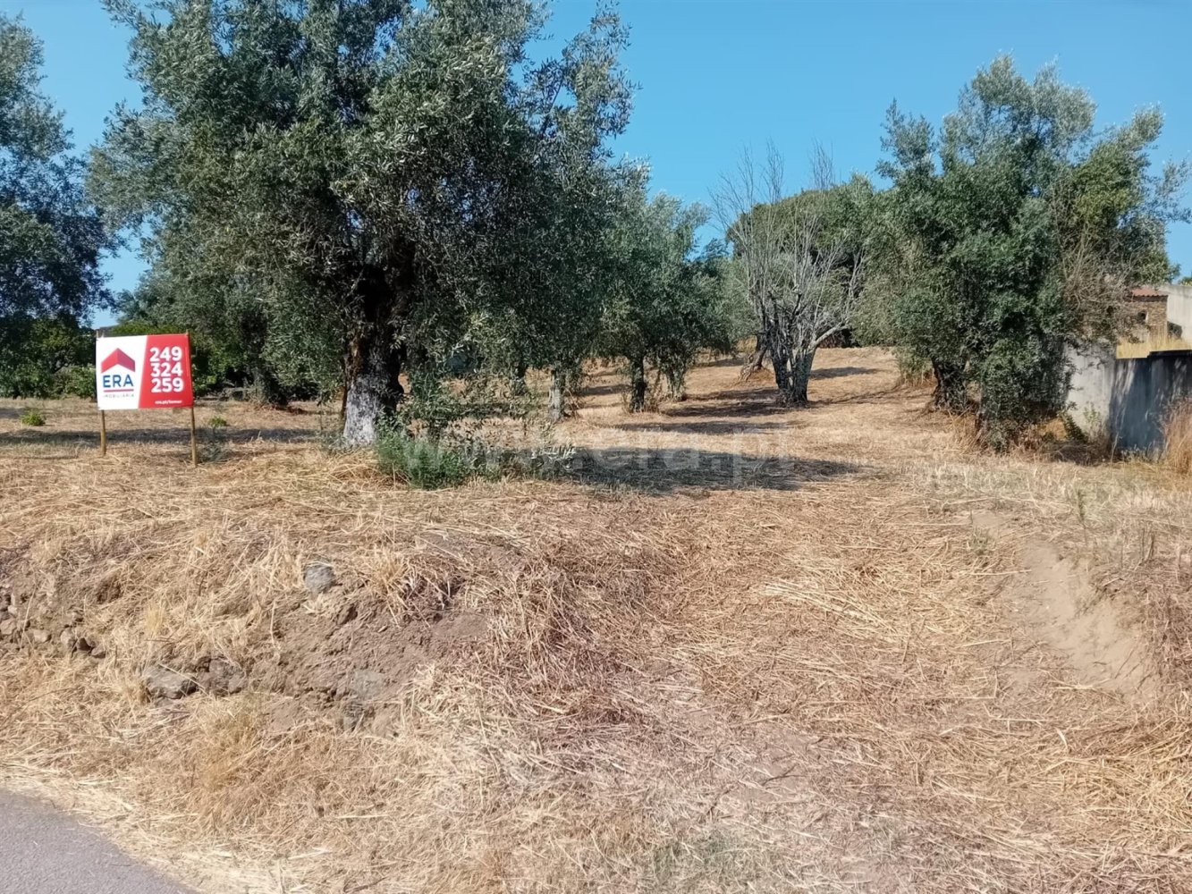 Terreno em Tomar, Portugal N.º 328358
