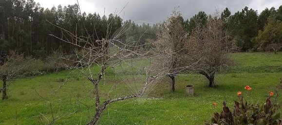 3 bedrooms House in Ferreira do Zezere, Portugal No. 22404 23