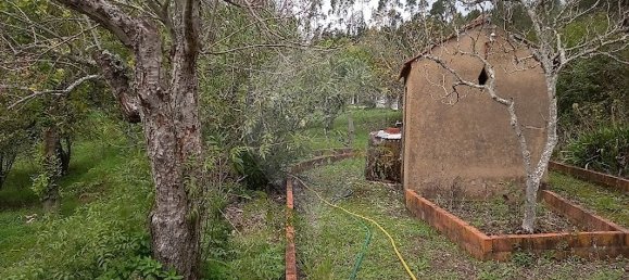 3 bedrooms House in Ferreira do Zezere, Portugal No. 22404 26