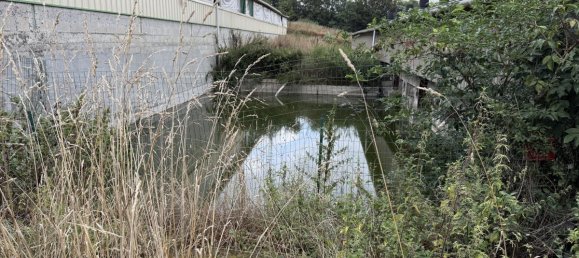  مستودع في Finistere, France 2600متر مربع رقم 360780 7