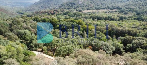 1 غرف نوم منزل في Calangianus, Italy رقم 326976 29