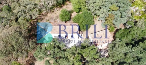 1 غرف نوم منزل في Calangianus, Italy رقم 326976 24