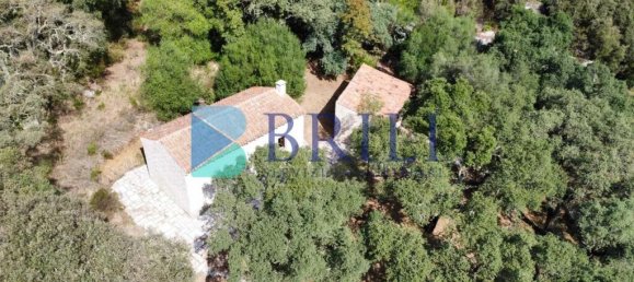 1 غرف نوم منزل في Calangianus, Italy رقم 326976 23