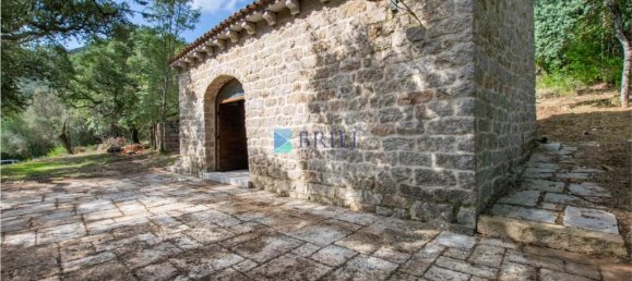 1 غرف نوم منزل في Calangianus, Italy رقم 326976 8