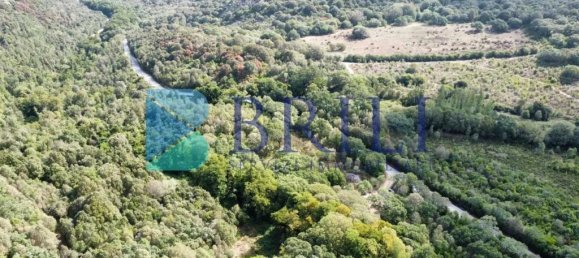 1 غرف نوم منزل في Calangianus, Italy رقم 326976 43