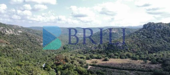 1 غرف نوم منزل في Calangianus, Italy رقم 326976 49