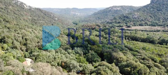 1 غرف نوم منزل في Calangianus, Italy رقم 326976 45