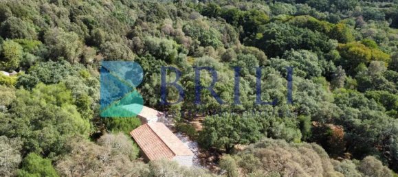 1 غرف نوم منزل في Calangianus, Italy رقم 326976 46