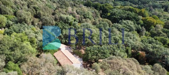 1 غرف نوم منزل في Calangianus, Italy رقم 326976 33