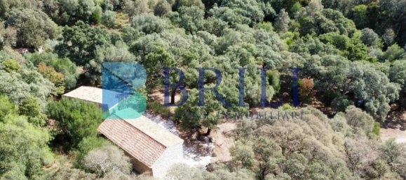 1 غرف نوم منزل في Calangianus, Italy رقم 326976 36