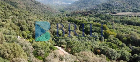 1 غرف نوم منزل في Calangianus, Italy رقم 326976 50