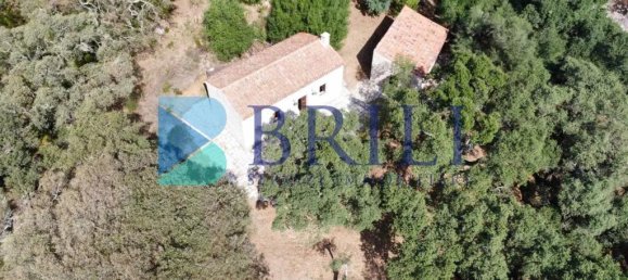 1 غرف نوم منزل في Calangianus, Italy رقم 326976 26