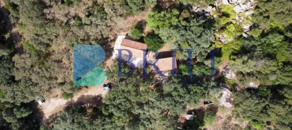 1 غرف نوم منزل في Calangianus, Italy رقم 326976 32