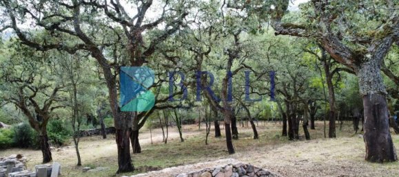 1 غرف نوم منزل في Calangianus, Italy رقم 326976 11