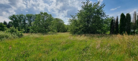 3 غرف نوم منزل في Belfort, France رقم 201781 9