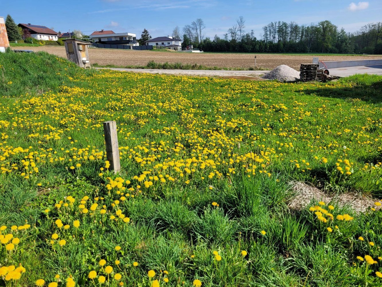 900m² Land in St. Marien, Austria No. 103370