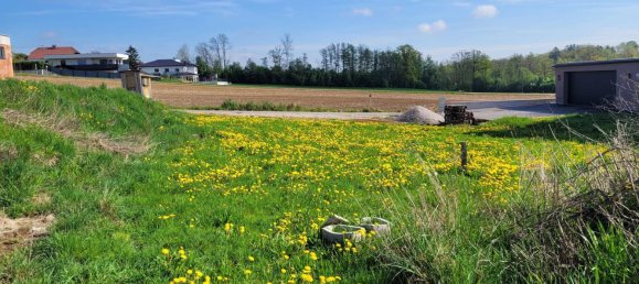 900m² Land in St. Marien, Austria No. 103370 3