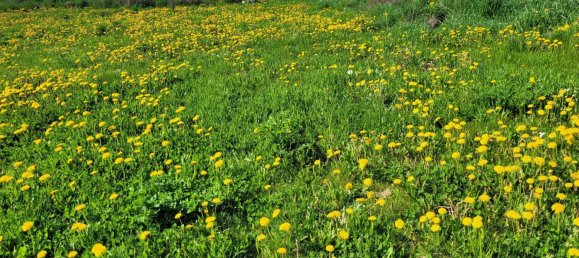 900m² Land in St. Marien, Austria No. 103370 2