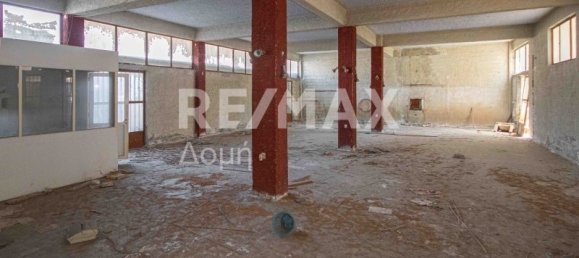 1230 m² edificio en venta en Magnesia, Thessaly, Thessaly and Central Greece, Greece № 775 11