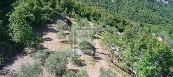6900m² Land in Toscolano Maderno, Italy No. 308884 9