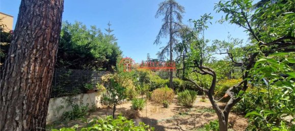 5 rooms Villa in Trani, Italy No. 261248 23