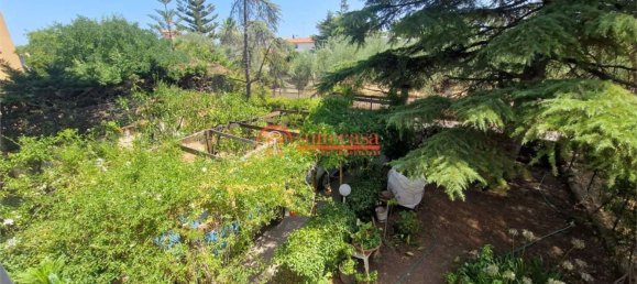 5 rooms Villa in Trani, Italy No. 261248 20