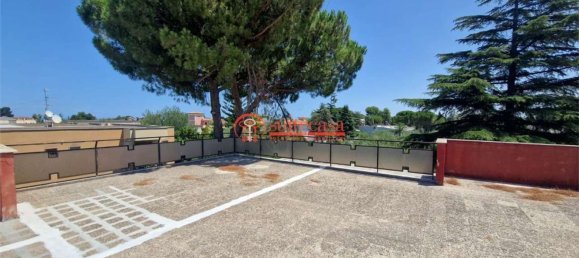 5 rooms Villa in Trani, Italy No. 261248 14