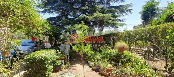 5 rooms Villa in Trani, Italy No. 261248 22