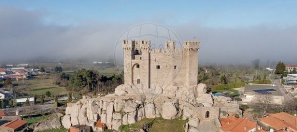 1 bedroom Apartment in Penedono, Portugal No. 83171 26