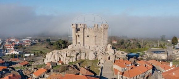 1 bedroom Apartment in Penedono, Portugal No. 83171 7