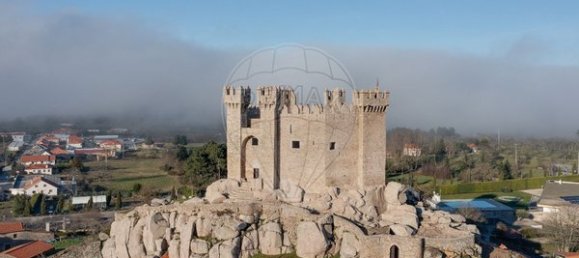 1 bedroom Apartment in Penedono, Portugal No. 83171 23