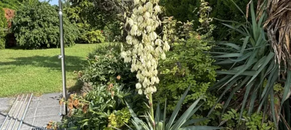 609m² Land in Favoriten, Austria No. 92551 4