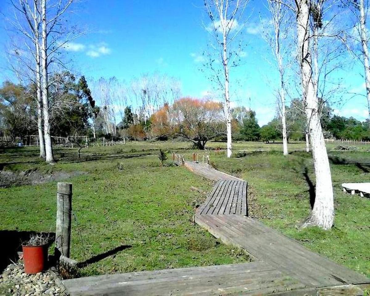 Granja en Maldonado, Uruguay No. 16033