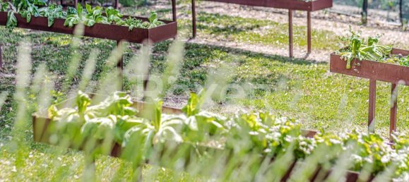 Casa de 9 dormitorios en Montecatini Val di Cecina, Italy No. 322634 17