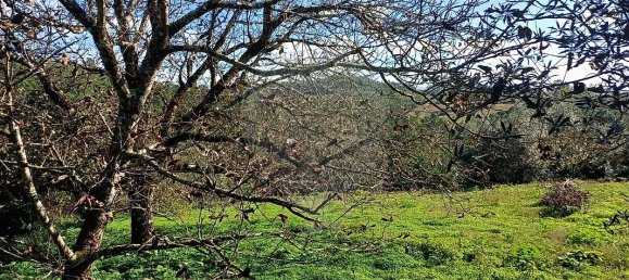 3 غرف نوم منزل في Condeixa a Nova, Portugal رقم 165871 17