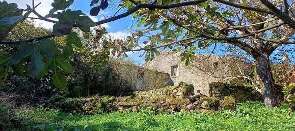 3 غرف نوم منزل في Condeixa a Nova, Portugal رقم 165871 22