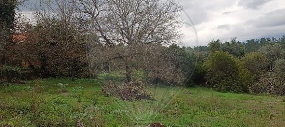 3 غرف نوم منزل في Condeixa a Nova, Portugal رقم 165871 9