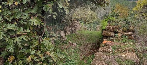 3 غرف نوم منزل في Condeixa a Nova, Portugal رقم 165871 4