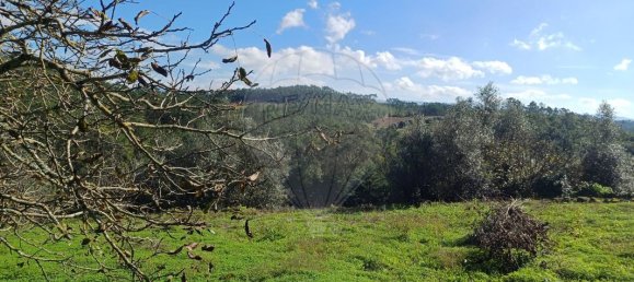 3 غرف نوم منزل في Condeixa a Nova, Portugal رقم 165871 33