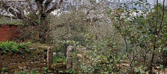 3 غرف نوم منزل في Condeixa a Nova, Portugal رقم 165871 6