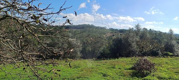 3 غرف نوم منزل في Condeixa a Nova, Portugal رقم 165871 16