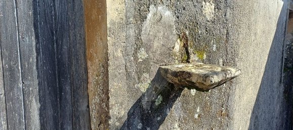 3 غرف نوم منزل في Condeixa a Nova, Portugal رقم 165871 35