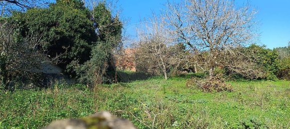 3 غرف نوم منزل في Condeixa a Nova, Portugal رقم 165871 24