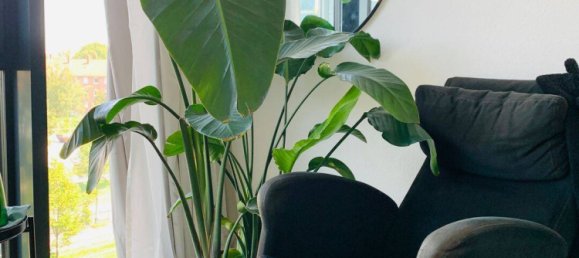 2 rooms Apartment in Karlsruhe, Germany No. 352108 2